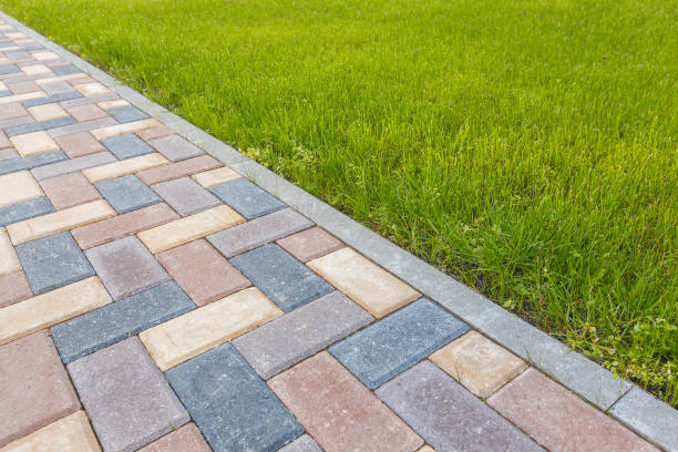 Reasons to Select Us for Your Driveway Paving Requirements in Waynesboro, TN